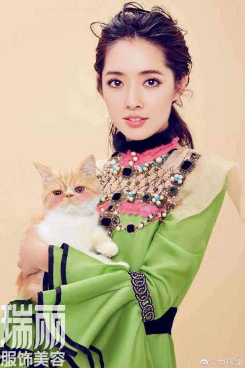 台湾女神郭碧婷暖系写真笑靥如花的姐图片