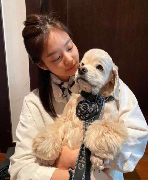 日韩行走的香奈儿金智妮（Jennie Kim）图片