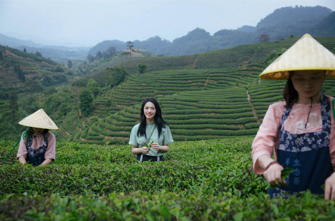 中国图片 女演员姚晨武夷山写真清新自然图