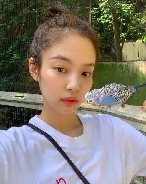95后日韩明星blackpinkJennie金智妮迷人图片