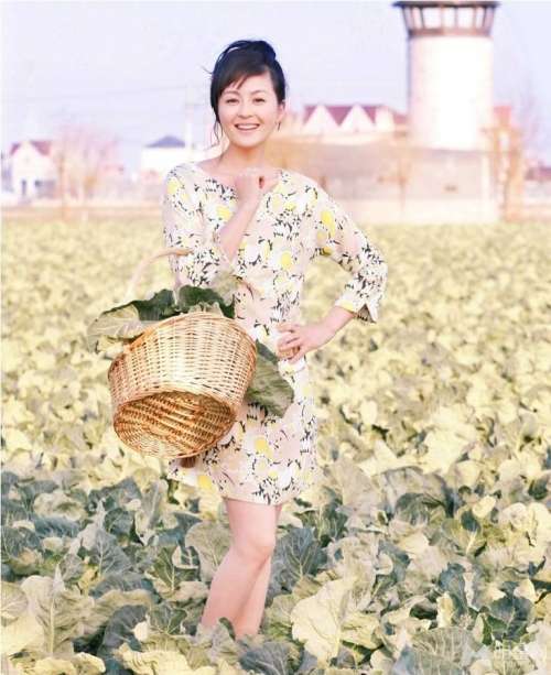 中国气质女星戴娇倩写真_戴娇倩图片