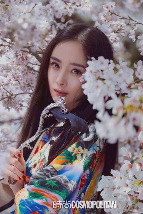 北京明星杨幂樱花树下拍大片复古唯美图片