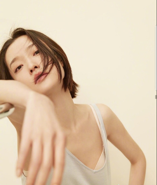 上海图片 美人在骨不在皮杜鹃图片