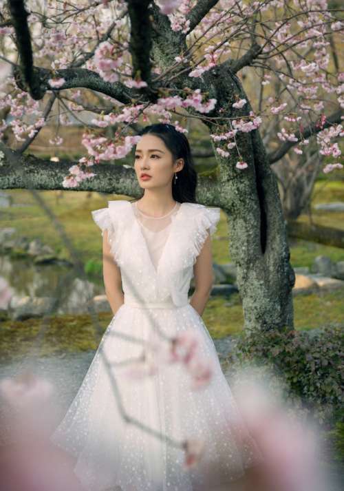 内地演员李沁与花树合影温婉可人图片