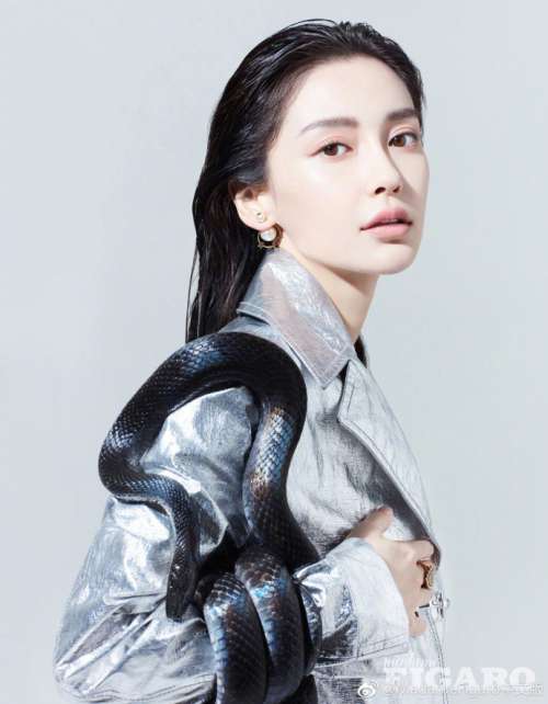 angelababy图片_大眼明星angelababy蛇蝎美人图片