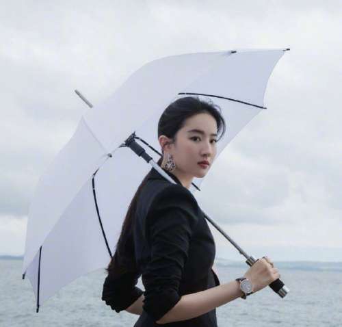 mm图片 女明星刘亦菲图片
