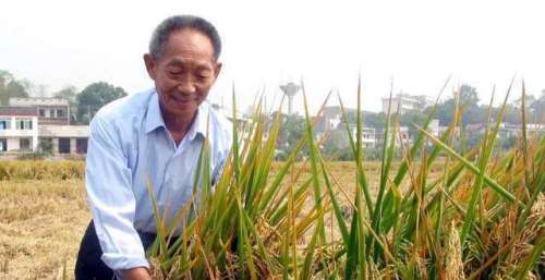 网播破亿，收视第一，杀疯了！这部“王炸”主旋律剧，今年必刷