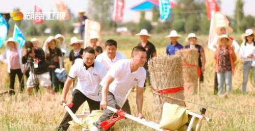 湖南卫视收视亮眼 品牌升级多重升级庆十一