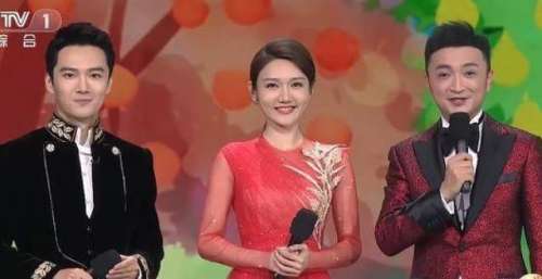 央视年轻主持谁能“扛大旗”？组合再次合作不被看好