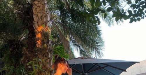 林志颖娇妻生活太滋润，住上亿豪宅日常像度假，筷子腿似有1米8