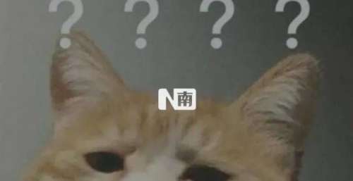 一边痛骂，一边趋之若鹜：喜欢看“雷剧”？你不是一个人
