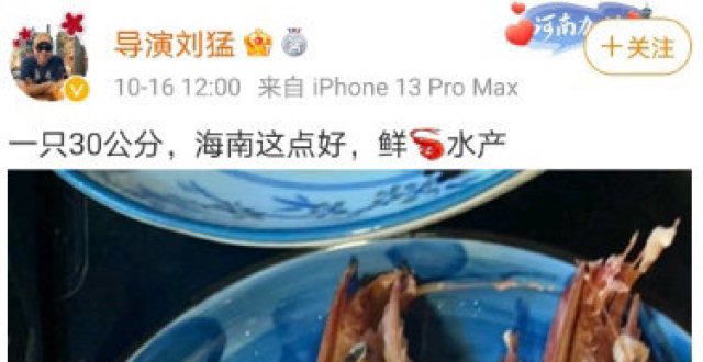 《我是特种兵》系列导演刘猛跟肖战粉丝撕起来了！
