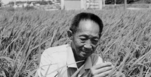 《功勋》袁隆平上线，41岁的董洁再凭演技服众，这个女人有多狠？