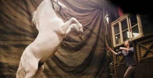 为影视大片供应马匹：探访魔鬼骑士公司
