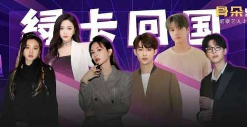 赴韩艺人，内娱之路不平坦