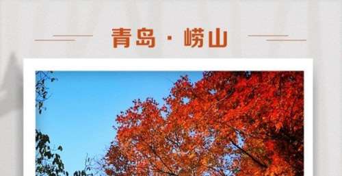 这就是山东丨赏红叶，趁现在！这些绝美赏红叶地不要错过