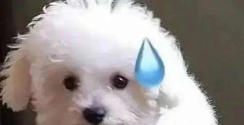 粉丝嘴这么损，正主不出来管管？