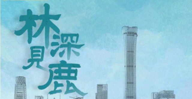 、李小冉主演电视剧《林深见鹿》，解锁都市婚姻密码