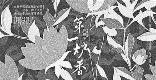 许鞍华把房间收拾得太干净 但干净的房间容不下张爱玲