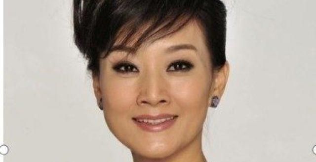 宋不再沉默，连登24年突然消失原因曝光，真相让人泪目
