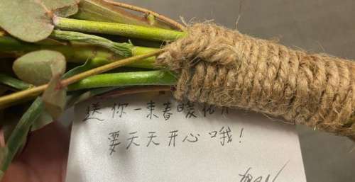 华晨宇手写祝福送花超暖心！记者节快乐！