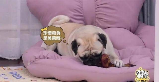 毛不易和李雪琴，你俩是不是忘了汪苏泷？