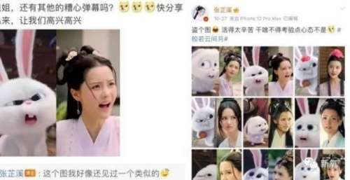 现在娱乐圈的情商普遍都挺高啊！