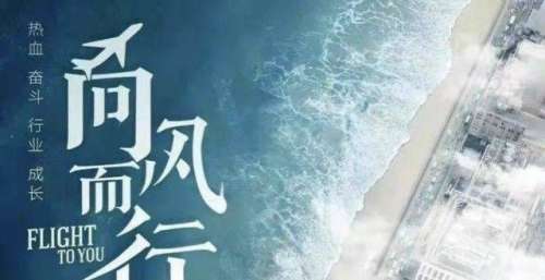 谭松韵新剧《向风而行》官宣海报了，角色造型真的又飒又美！