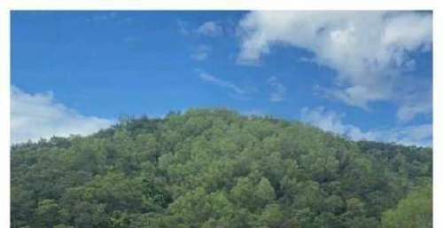 开心麻花团综释出，众人骑三轮车，马丽前后反差巨大，沈腾接地气