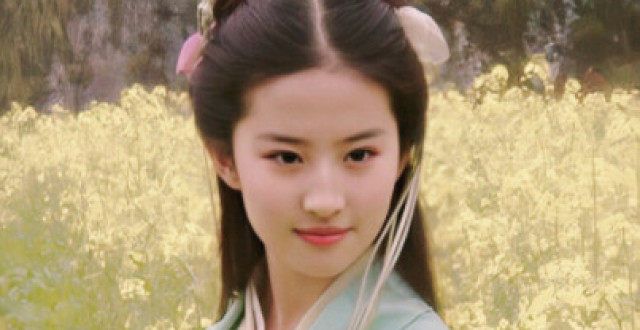 刘亦菲母亲刘晓莉的红尘往事