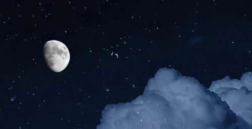 手机壁纸｜清晨再与你相遇