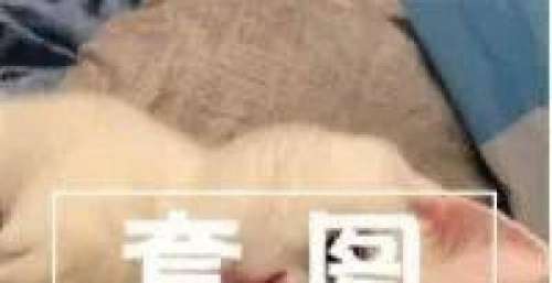 20超美的套图 头像＋背景图