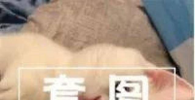 20超美的套图 头像＋背景图