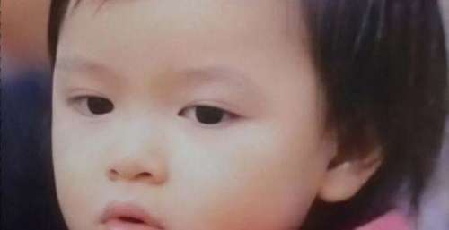 爸爸是巨星刘德华，她继承父母完美基因，8岁身价上亿成人生赢家