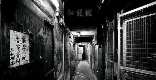 郑保瑞新片《九龙城寨》开机，甄子丹和古天乐领衔大家期待吗？