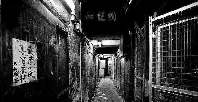 郑保瑞新片《九龙城寨》开机，甄子丹和古天乐领衔大家期待吗？