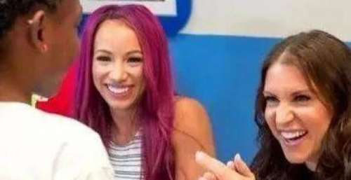 本周RAW收视率直线飙升，老麦功不可没！HHH的女儿开始摔跤训练！