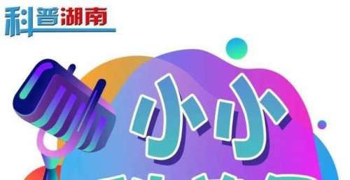 第九十一期：为什么激光唱片能播放音乐？︱小小科普员