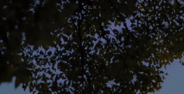 手机壁纸｜会再见的 等春天的温柔长满枝头
