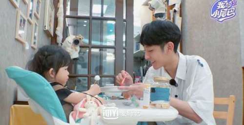 《我的小尾巴》第二季开播，看四组兄妹“相爱相杀”