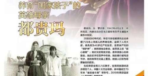 海报丨第八届全国道德模范：都贵玛