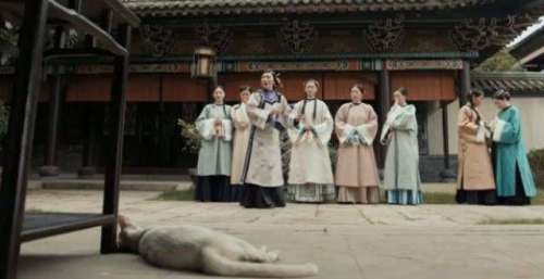 我电死一只猫，炸飞一条狗，他们说这就是“艺术”