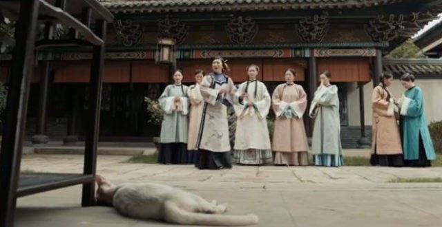 我电死一只猫，炸飞一条狗，他们说这就是“艺术”