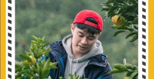 注水的第二季《五哈》，失去了灵魂，它什么也不是！