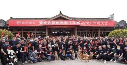 12月大片剧透，“局中局”成焦点，“