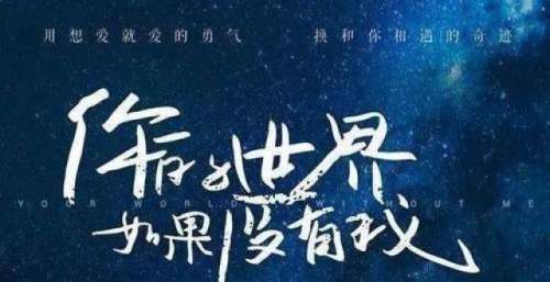电影《你的世界如果没有我》在蓉首映 真实故事改编传递正能量