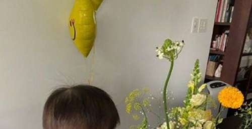 杨祐宁晒照为女儿庆生 小家伙坐在花束前乖巧可爱