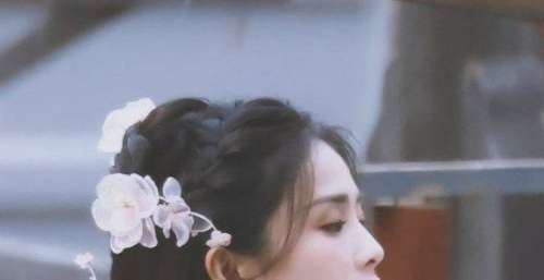 网传白鹿或将出演玖月晞的《若春和景明》，上演现实版草根女主！