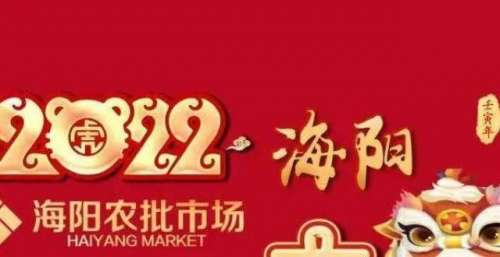 2022年网络马上迎来海选总决赛啦！