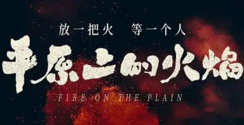 它居然能在国内上映？12月好片也太多了吧